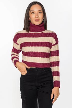 Cropped Stripe Turtleneck Sweater